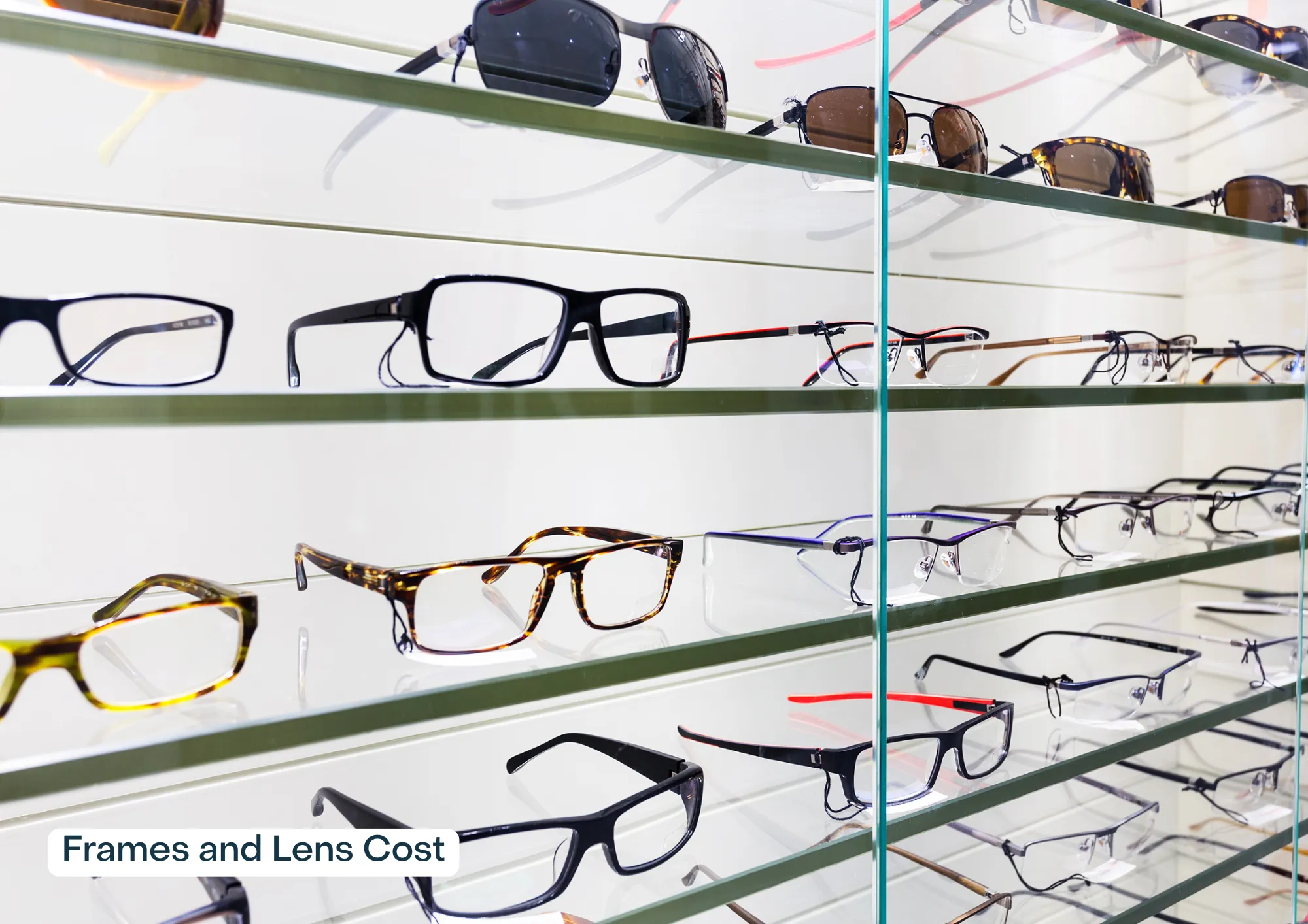 Eyeglasses sitting on multiple shelves.